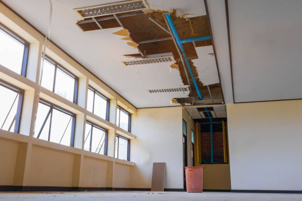  Charlotte Hall, MD Water damage restoration Pros