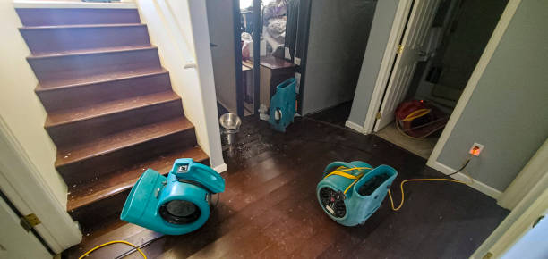 Best Emergency water damage restoration  in Charlotte Hall, MD