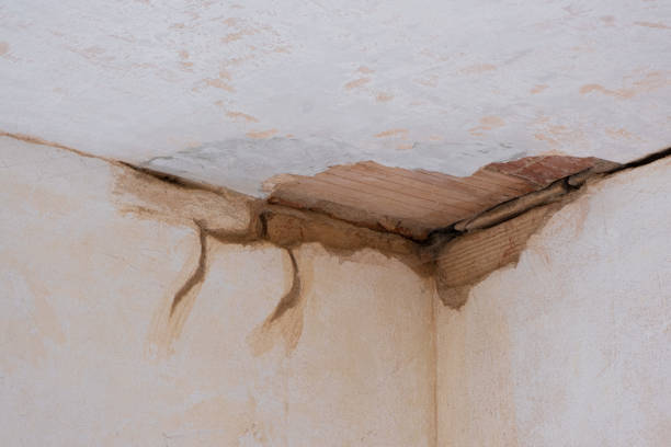 Best Water damage cleanup near me  in Charlotte Hall, MD