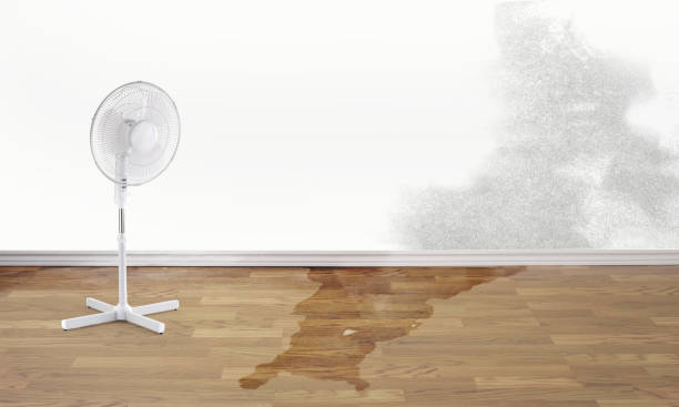 Best Fire Damage Restoration  in Charlotte Hall, MD