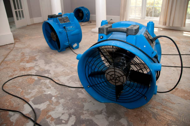 Best Water damage mitigation services  in Charlotte Hall, MD