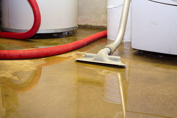 Best Water damage contractors near me  in Charlotte Hall, MD