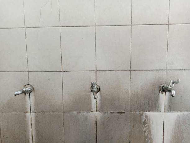 Best Water damage restoration services  in Charlotte Hall, MD