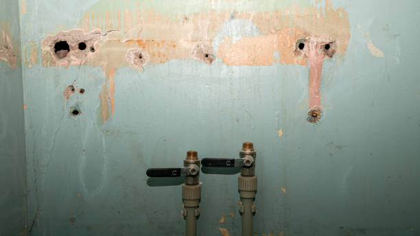 Best Water damage restoration company  in Charlotte Hall, MD