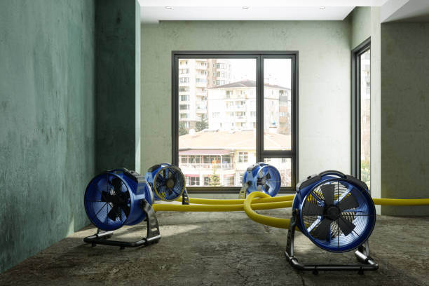Best Water damage restoration near me  in Charlotte Hall, MD