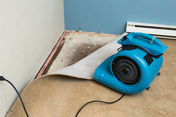 Best Fire Damage Restoration  in Charlotte Hall, MD